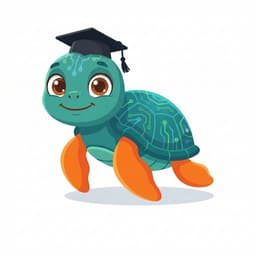 Tortu - Graduada